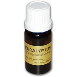 Eucalyptus Ätherisches Öl 10ml