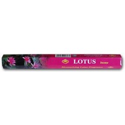 Lotus 12 x 20 Sticks