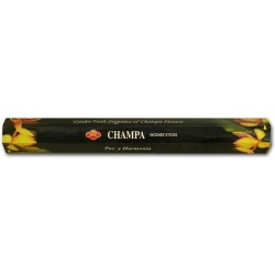 Champa 12 x 20 Sticks