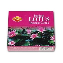 Lotus 12 x 10 Cônes