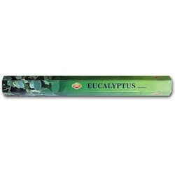 Eucalyptus 12 x 20 Sticks